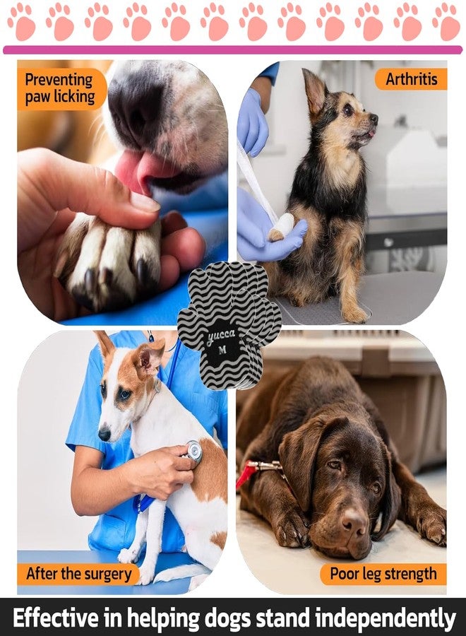 يوكا  وسادات تثبيت مخالب الكلاب من يوكا، واقيات مخالب الكلاب بمادة لاصقة أقوى، مقابض أصابع لمنع انزلاق الكلاب على الأرضيات الخشبية، جوارب وأحذية بديلة للكلاب الكبيرة في السن - Image 4